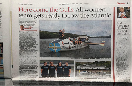 The-Herald-The Gulls GRM.jpg